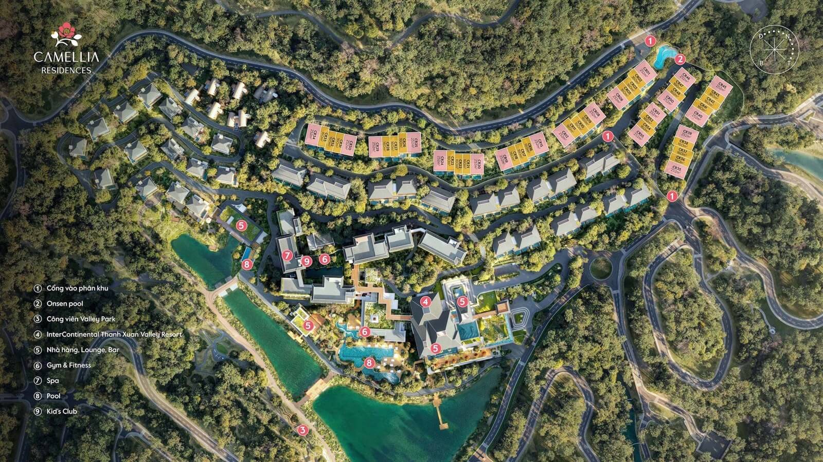 mặt bằng dự án camellia residences thanh xuân valley